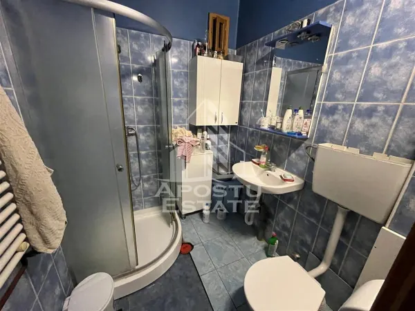 Casă 5 camere Timișoara - poza 5