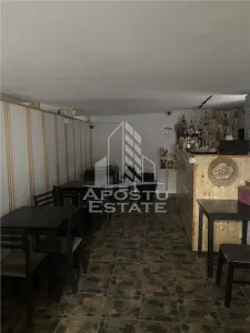 Casă 5 camere Timișoara - poza 18