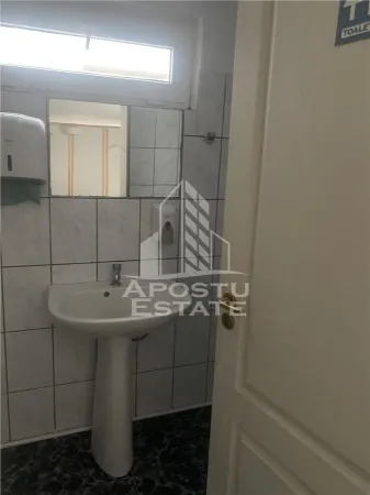Casă 5 camere Timișoara - poza 20