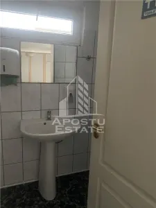 Casă 5 camere Timișoara - poza 20