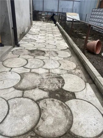 Casă 5 camere Timișoara - poza 5