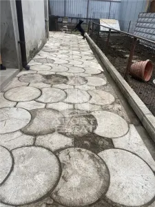 Casă 5 camere Timișoara - poza 5