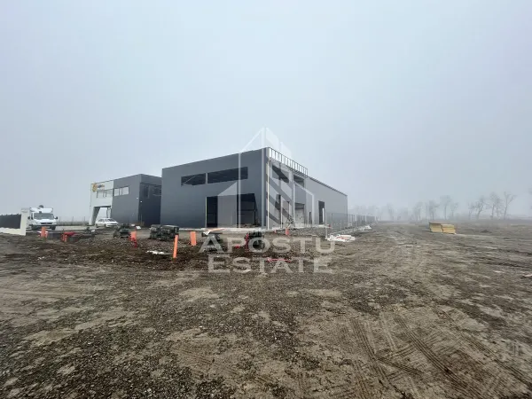 Spațiu industrial Ghiroda - poza 1