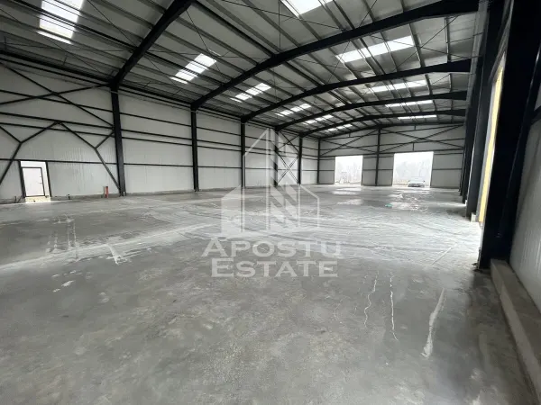 Spațiu industrial Ghiroda - poza 2