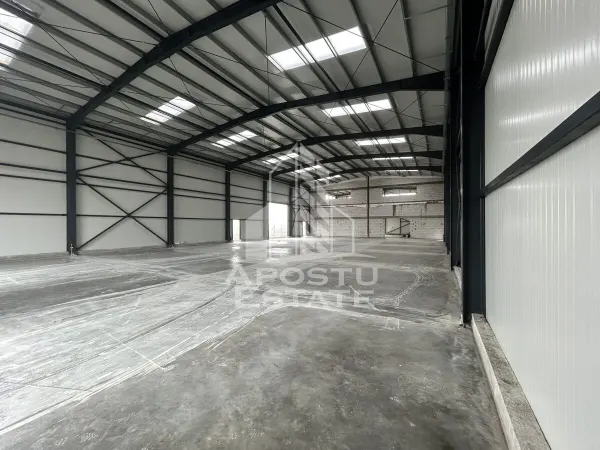 Spațiu industrial Ghiroda - poza 4