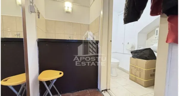Casă 5 camere Timișoara - poza 17