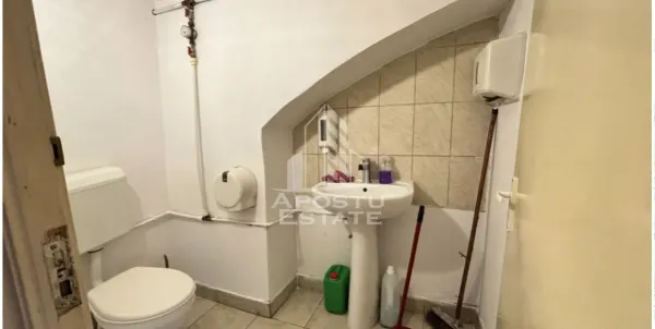 Casă 5 camere Timișoara - poza 18