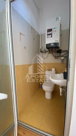Casă 5 camere Timișoara - poza 8