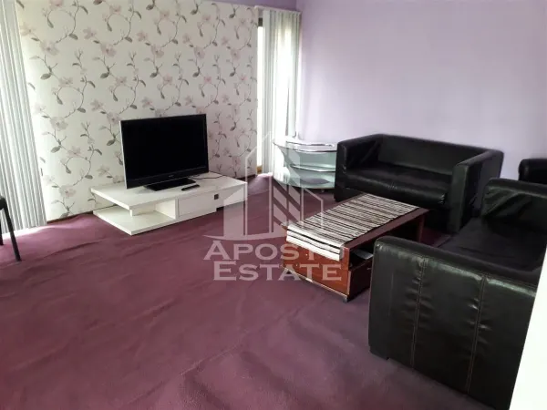 Casă 8 camere Timișoara - poza 10