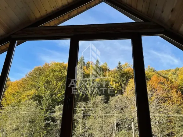 Casă 6 camere Avram Iancu - poza 5
