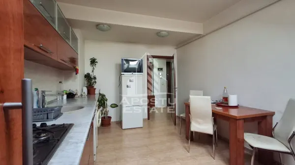 Apartament 2 camere Arad - poza 4