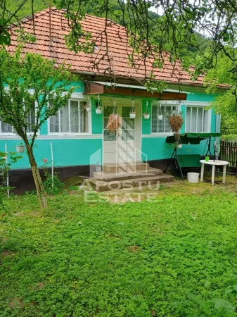 Casă 4 camere Micanesti - poza 1