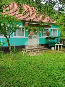 Casa batraneasca de vanzare, 4 camere, in Hunedoara, sat Micanesti - Micanesti