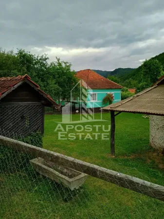 Casă 4 camere Micanesti - poza 13