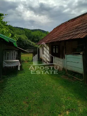 Casă 4 camere Micanesti - poza 14