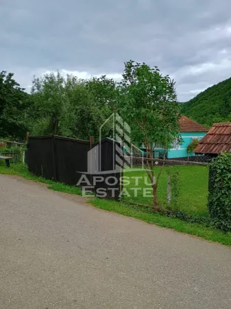 Casă 4 camere Micanesti - poza 15