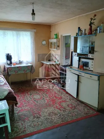 Casă 4 camere Micanesti - poza 18