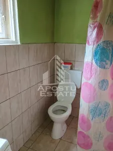 Casa batraneasca de vanzare, 4 camere, in Hunedoara, sat Micanesti - foto 20