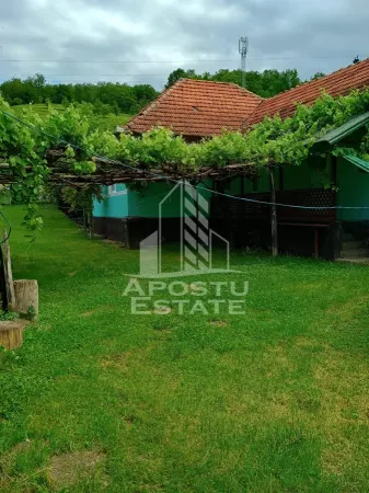 Casă 4 camere Micanesti - poza 3