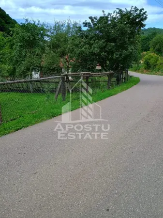 Casă 4 camere Micanesti - poza 24