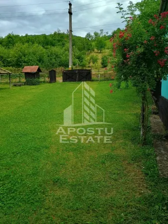 Casă 4 camere Micanesti - poza 5