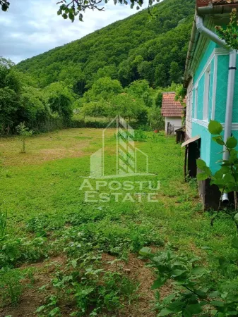 Casă 4 camere Micanesti - poza 8