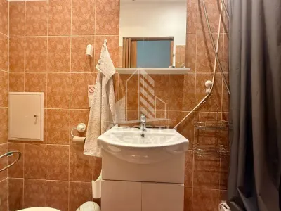 Apartament o camera, 30mp, balcon deschis, in Piata Victoriei - foto 4