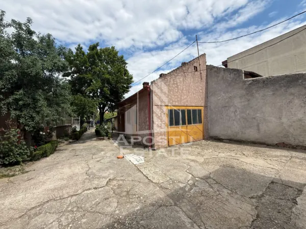 Casă 8 camere Timișoara - poza 1