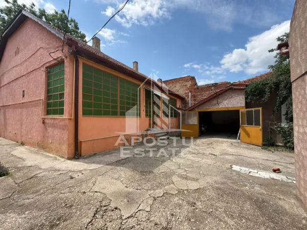 Casă 8 camere Timișoara - poza 2