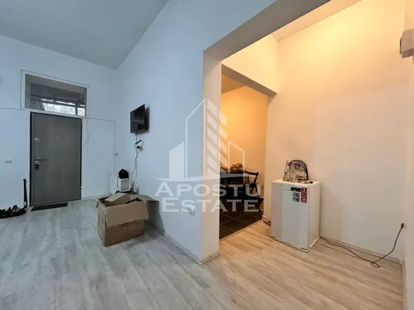 Casă 6 camere Timișoara - poza 5