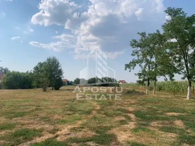 Teren intravilan, 3840mp, Turnu - foto 3