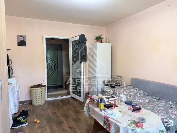 Apartament 1 camera Timișoara - poza 1