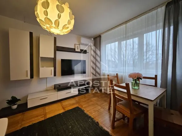 Apartament 2 camere Timișoara - poza 1