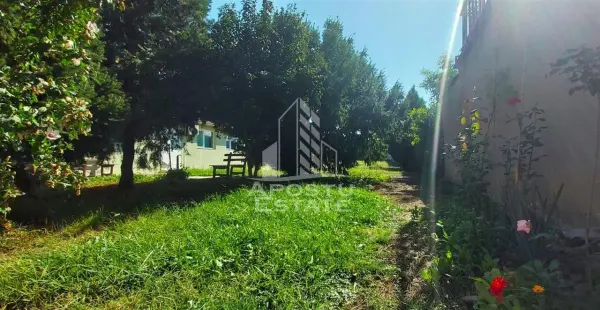 Spațiu comercial Arad - poza 6