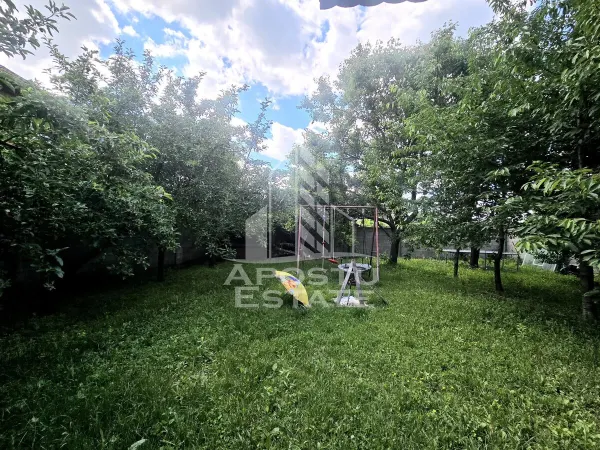 Casă 8 camere Timișoara - poza 3