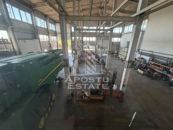 Spațiu industrial Timișoara - poza 4