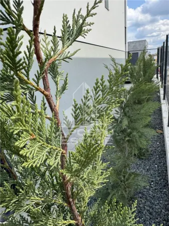 Casă 4 camere Giarmata-Vii - poza 2