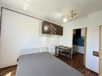 Garsoniera de vanzare, zona Lipovei, Timisoara - foto 2