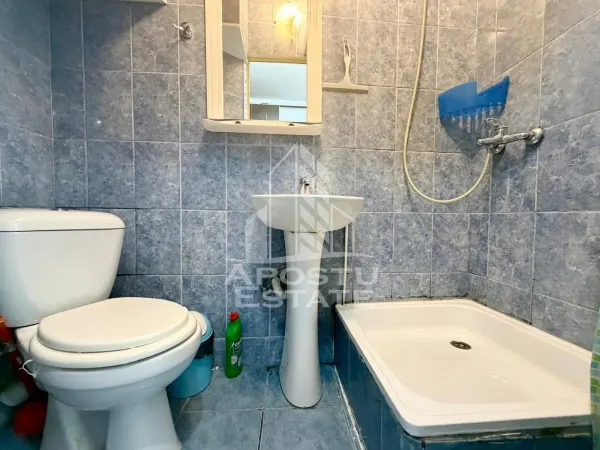 Apartament 1 camera Timișoara - poza 6