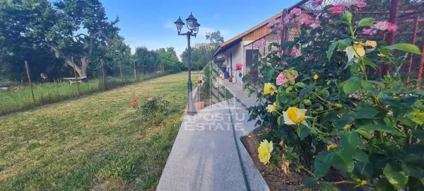 Casă 8 camere Timișoara - poza 2
