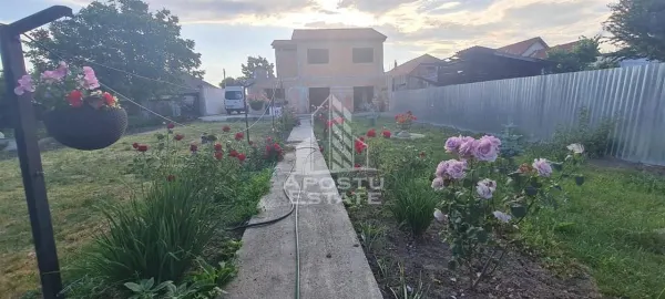 Casă 8 camere Timișoara - poza 3