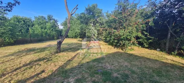 Casă 8 camere Timișoara - poza 4