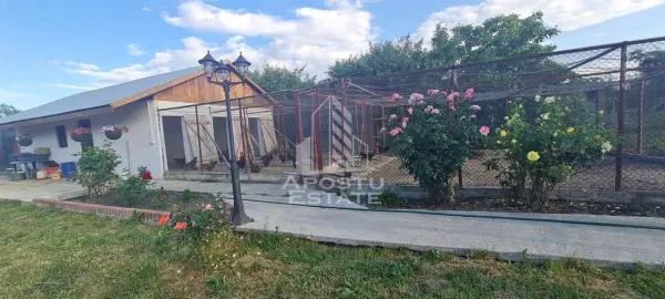 Casă 8 camere Timișoara - poza 5