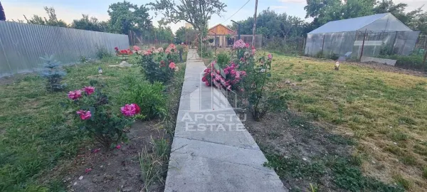 Casă 8 camere Timișoara - poza 6