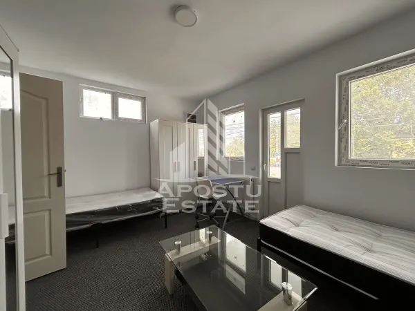 Casă 9 camere Timișoara - poza 1