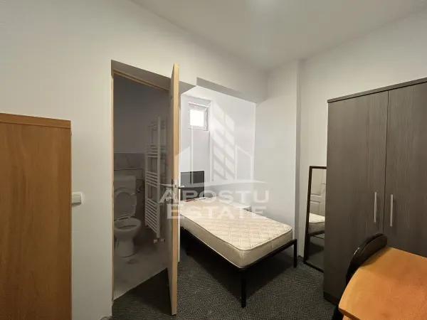 Casă 9 camere Timișoara - poza 12