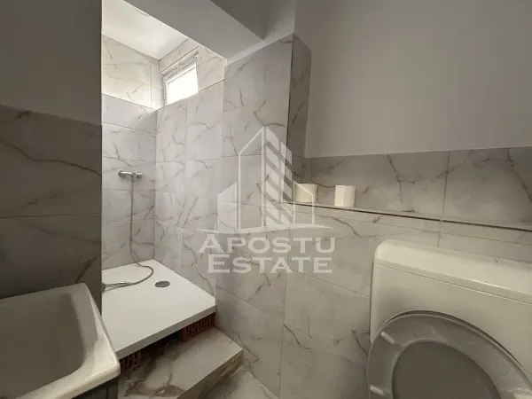 Casă 9 camere Timișoara - poza 5