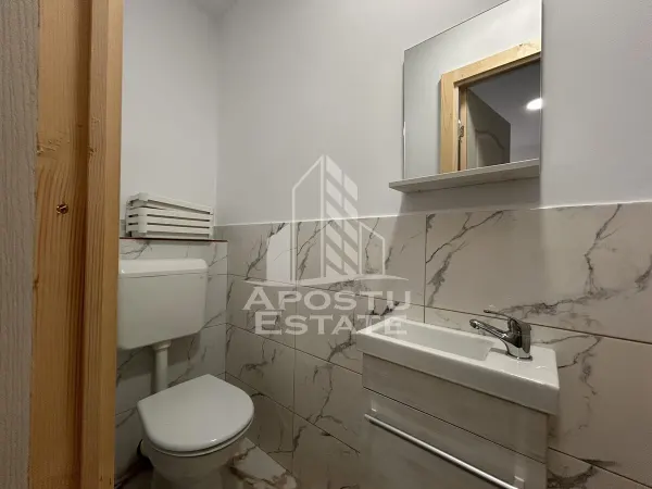 Casă 9 camere Timișoara - poza 6