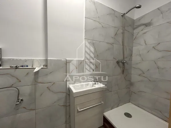 Casă 9 camere Timișoara - poza 10