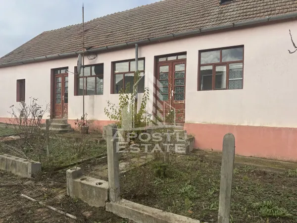 Casă 4 camere Petrovaselo - poza 1